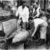 Pescaderías Coruñesas