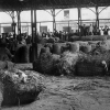 Mercado de la Cebada