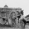 Obras en los jardines del Palacio Real