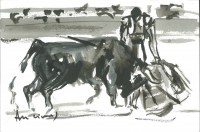 Los toros según Anciones