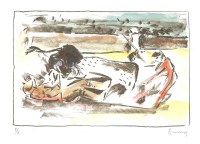 Los toros según Anciones