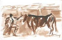 Los toros según Anciones