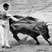 Homenaje a Juan Belmonte (1992)