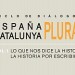 Lo que nos dice la historia. La historia por escribir