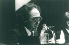 El genio inadaptado, por <strong>Diego Carcedo</strong>