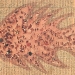 JUAN ISMAEL