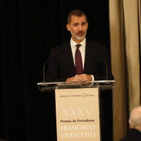 Don Felipe durante su intervención en la XXXV edición del Premio de Periodismo "Francisco Cerecedo"