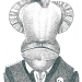 Turcios