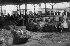 Mercado de la Cebada