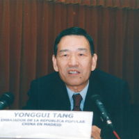 Yonggui Tang