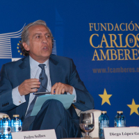 Diego López Garrido