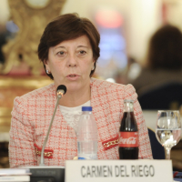 Carmen del Riego